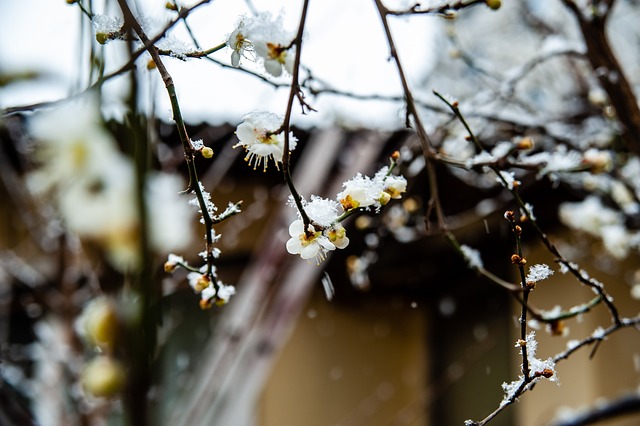 节点